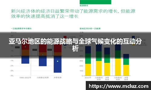 亚马尔地区的能源战略与全球气候变化的互动分析